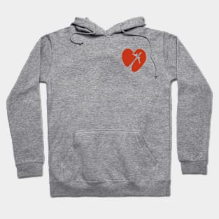 Love is in the air, plane Hoodie